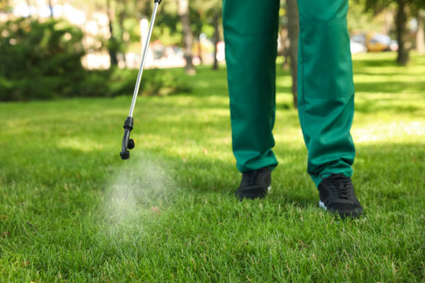 Best Termite Control Services  in Mount Carmel, TN