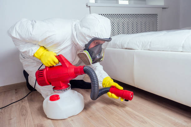 Reliable Mount Carmel, TN Pest Control Solutions