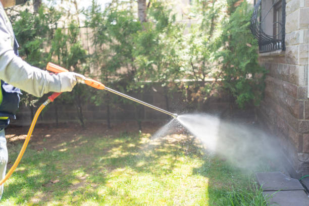 Best Wasp Removal Services  in Mount Carmel, TN