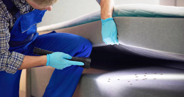 Best Best Pest Control Near Me  in Mount Carmel, TN