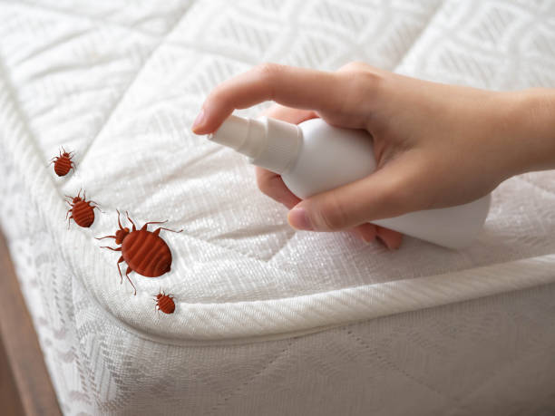 Best Ant Control Services  in Mount Carmel, TN