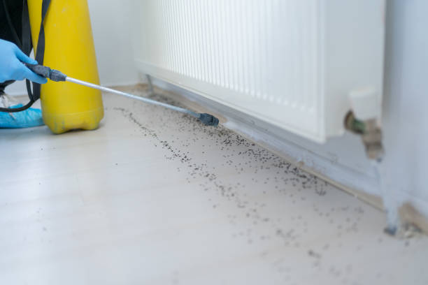 Mount Carmel, TN Pest Control Company